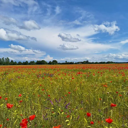 Appart hôtel Appartementhaus Kastanie Bad Füssing