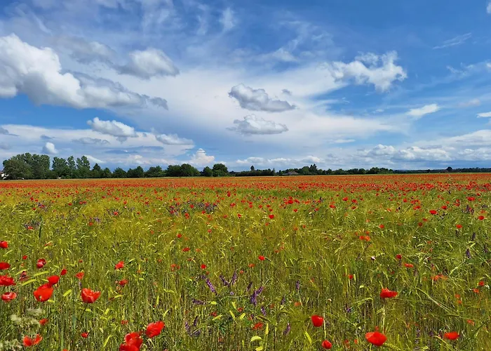 Aparthotel Appartementhaus Meier Bad Füssing